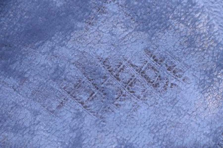 Impressão de veludo de Holanda com novo design para sofá